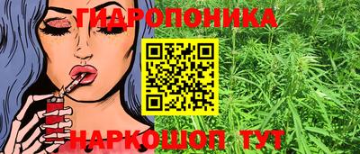 мяу мяу мука Краснокаменск