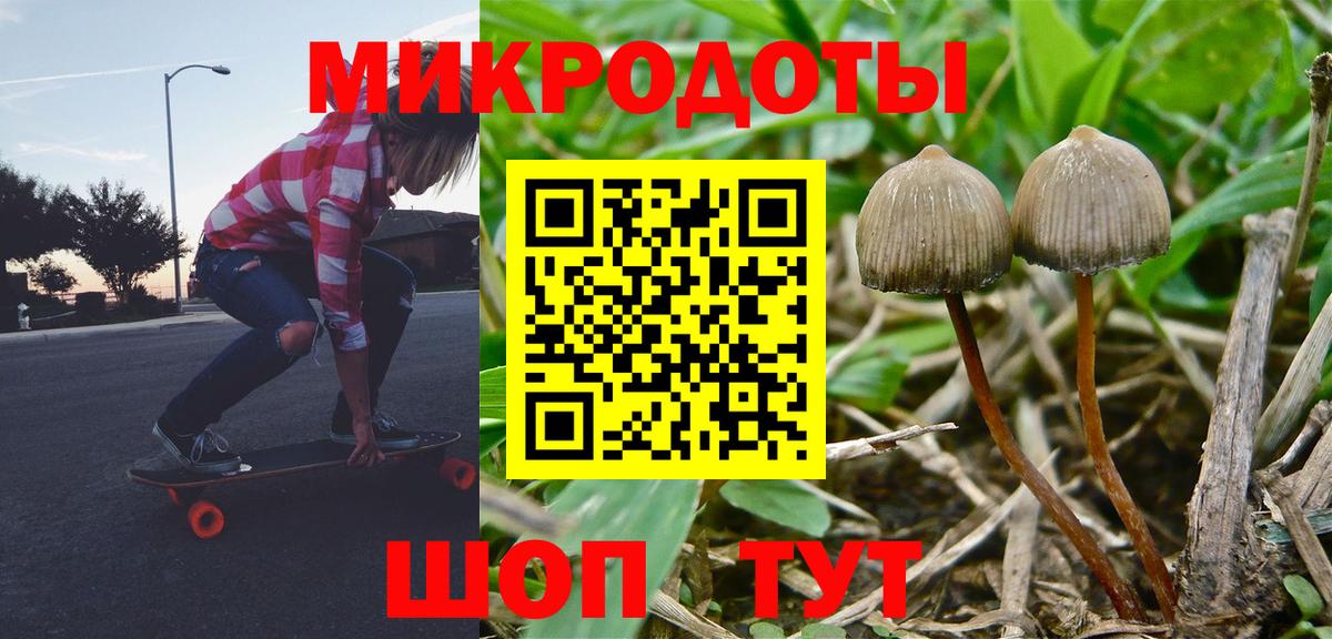 Псилоцибиновые грибы Psilocybe  Вход с VPN  Бузулук 